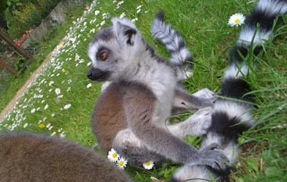 Tierpark Gettorf