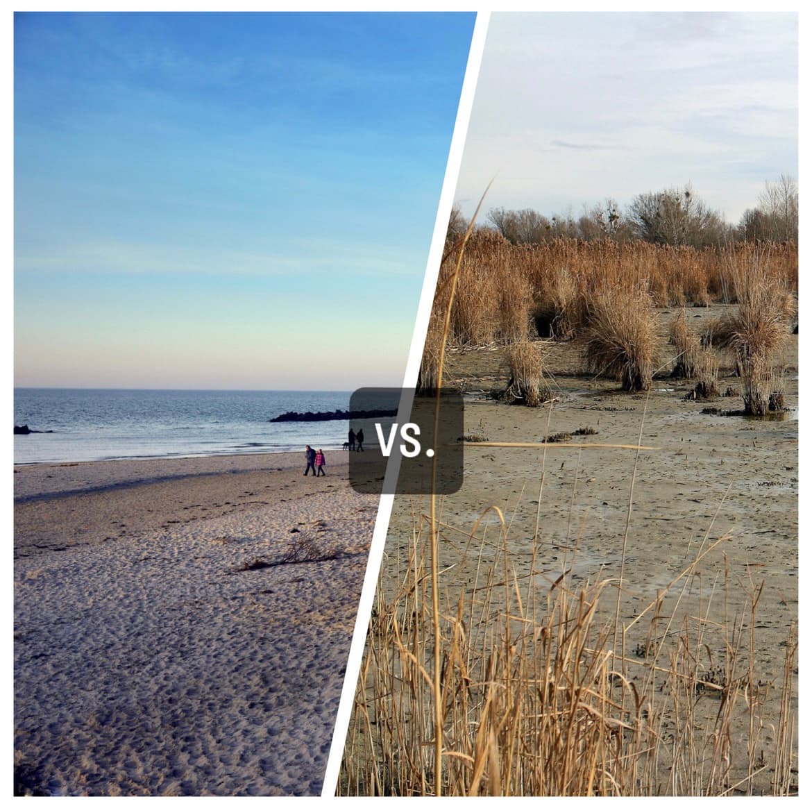 Ostsee oder Nordsee – wo kann man besser Urlaub machen?!